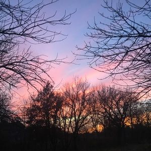 🌱GREEN SELLER🌱